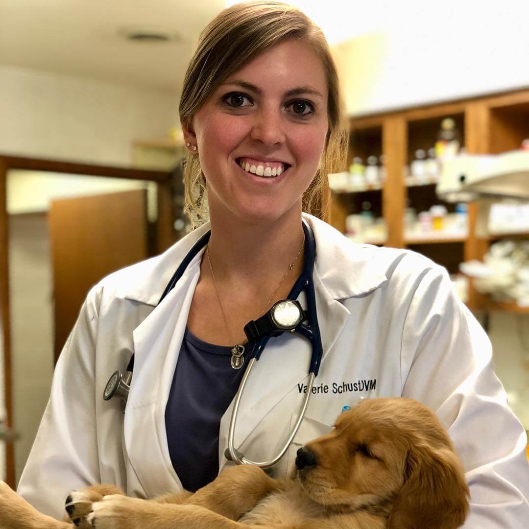 Dr. Schuster Allied Emergency Veterinary Service